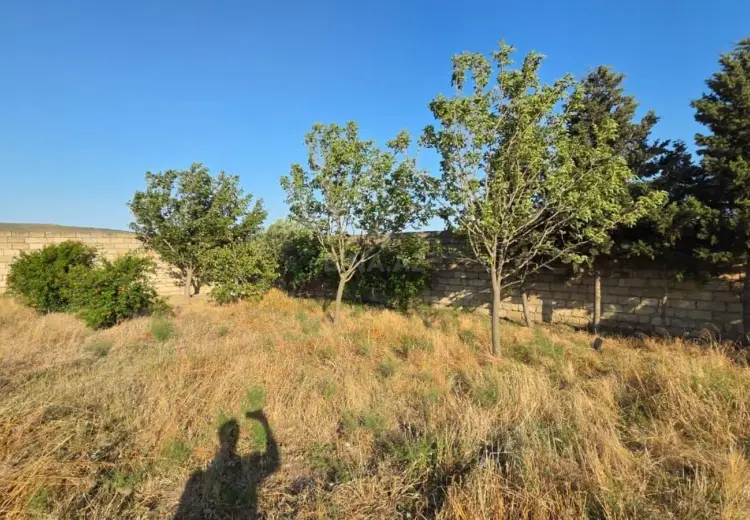 12 sot Torpaq Satılır, Novxanı, Abşeron