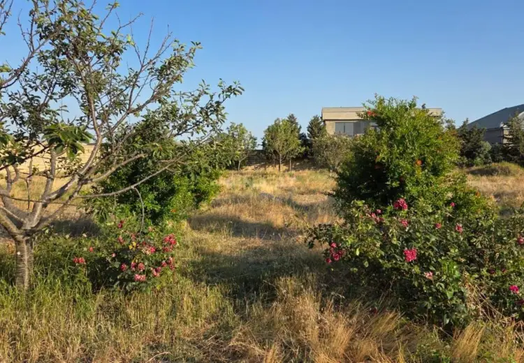 12 sot Torpaq Satılır, Novxanı, Abşeron