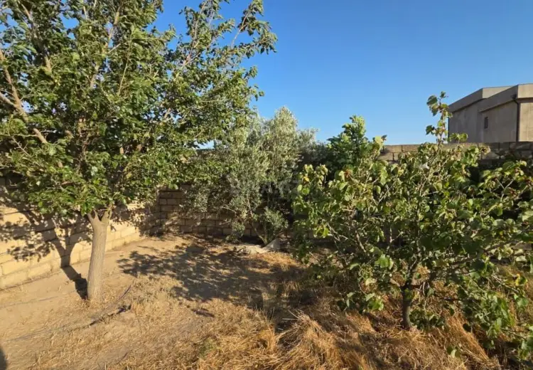 12 sot Torpaq Satılır, Novxanı, Abşeron