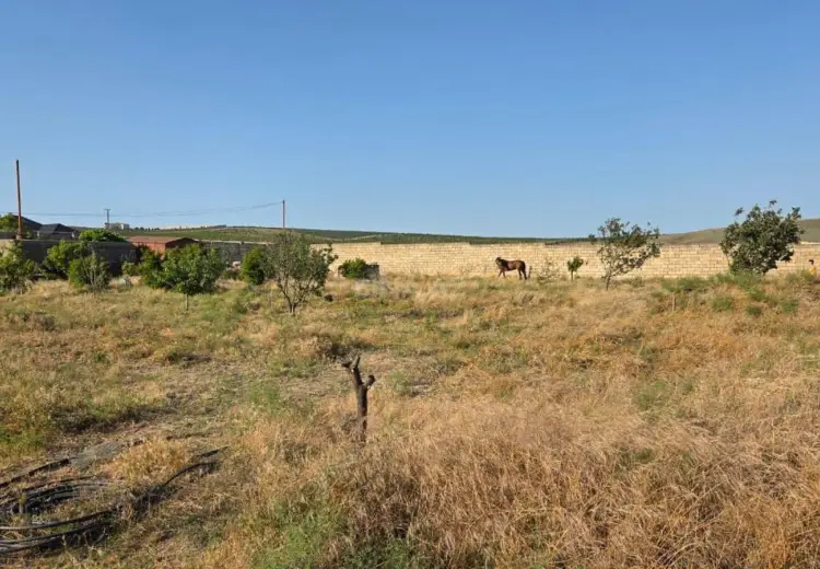 12 sot Torpaq Satılır, Novxanı, Abşeron
