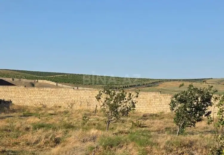 12 sot Torpaq Satılır, Novxanı, Abşeron
