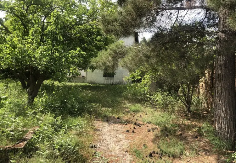 9 sot Torpaq Satılır, Novxanı, Abşeron
