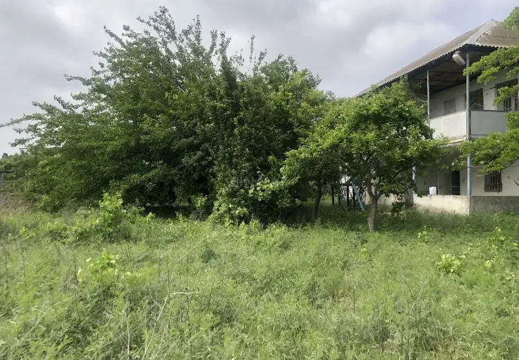 9 sot Torpaq Satılır, Novxanı, Abşeron