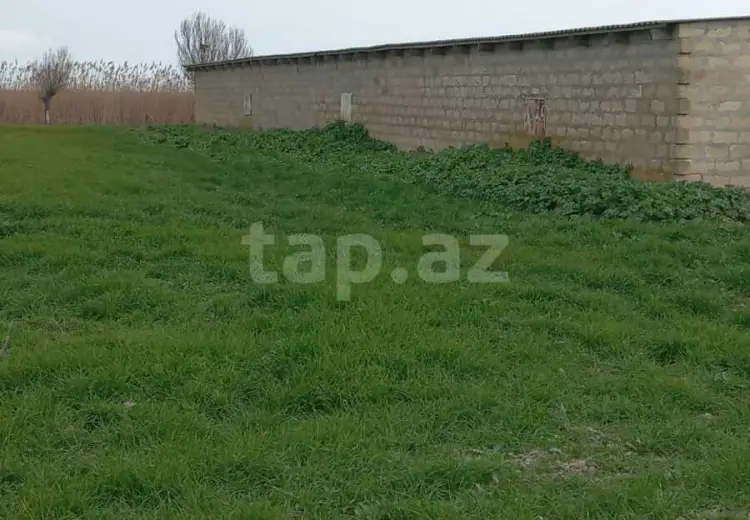 0 m² Obyekt / Ofis , Neftçala