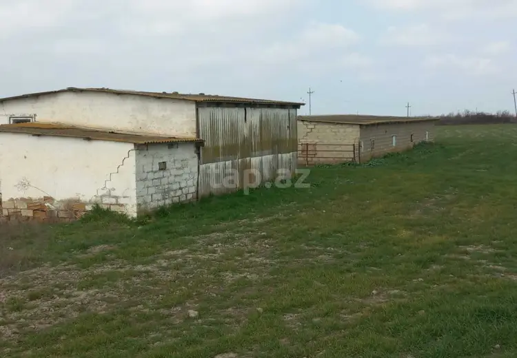 0 m² Obyekt / Ofis , Neftçala