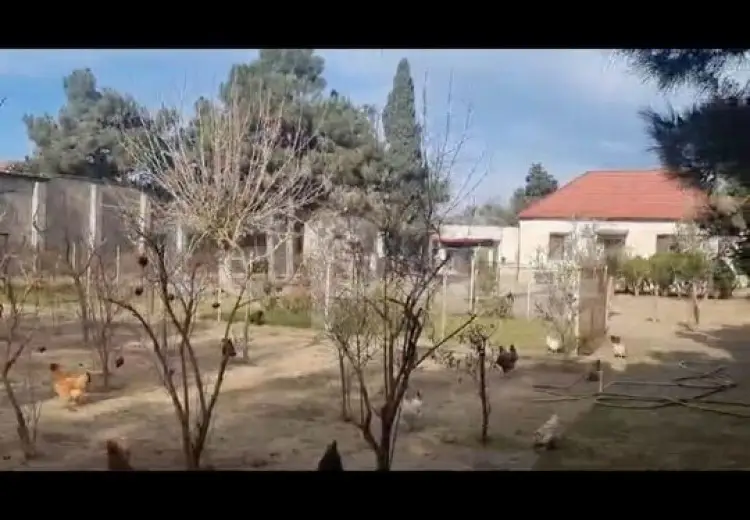0 m² Obyekt / Ofis , Mərdəkan, Xəzər, Bakı