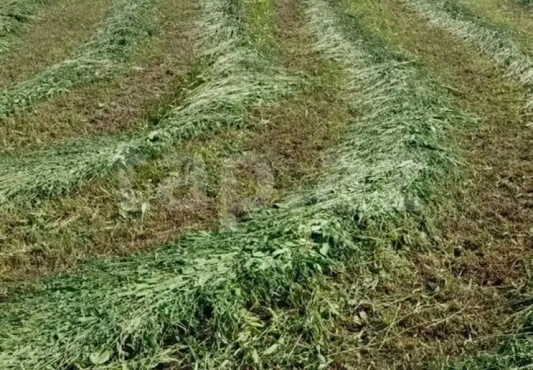 0 m² Obyekt / Ofis , Mingəçevir