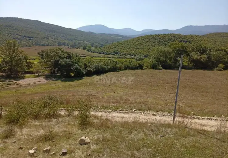 8 sot Torpaq Satılır, Qobu, Abşeron
