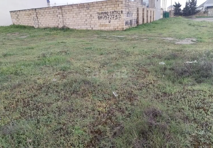 0 m² Obyekt / Ofis , Saray, Abşeron