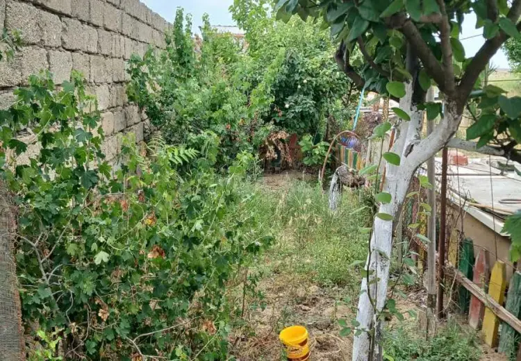 10 sot Torpaq Satılır, Nardaran qəs., Sabunçu, Bakı