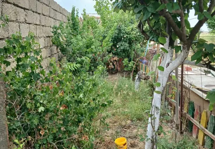 10 sot Torpaq Satılır, Nardaran qəs., Sabunçu, Bakı