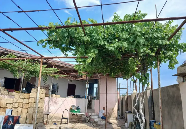 10 sot Torpaq Satılır, Nardaran qəs., Sabunçu, Bakı
