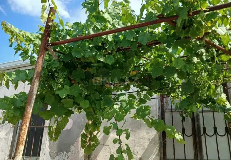10 sot Torpaq Satılır, Nardaran qəs., Sabunçu, Bakı