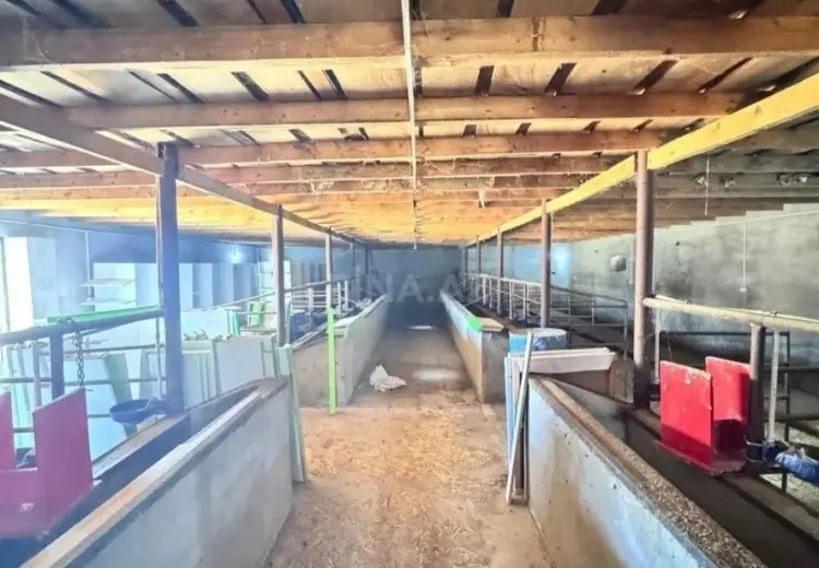 5 m² Obyekt / Ofis Satılır, Dübəndi, Xəzər, Bakı