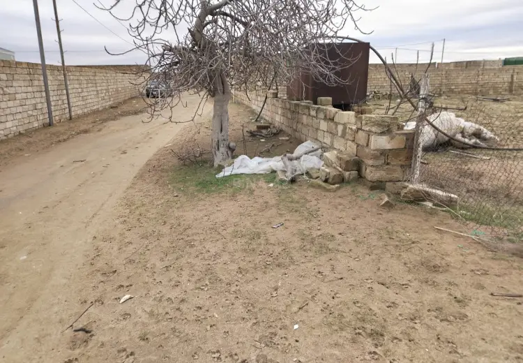 18 sot Torpaq Satılır, Nardaran qəs., Sabunçu, Bakı