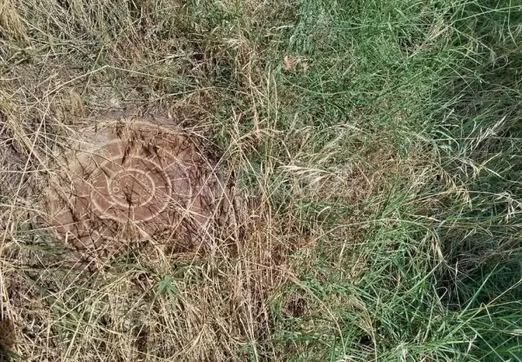 0 m² Obyekt / Ofis , Saray, Abşeron