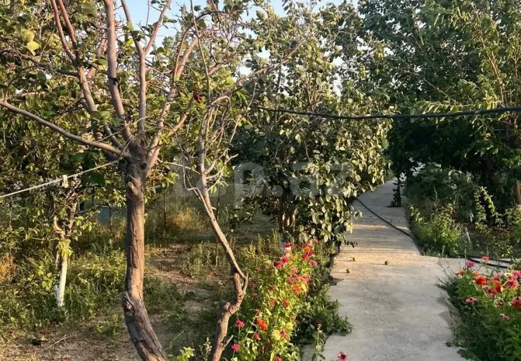 3 otaqlı mənzil , Sumqayıt