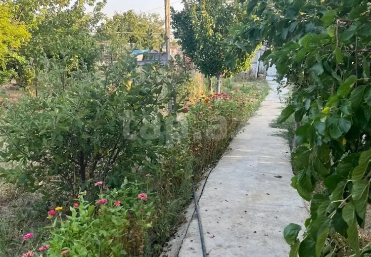 3 otaqlı mənzil , Sumqayıt