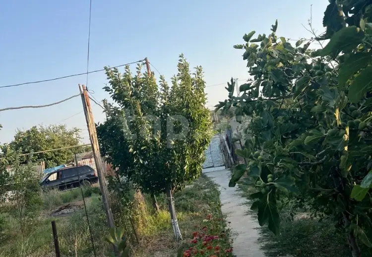 3 otaqlı mənzil , Sumqayıt