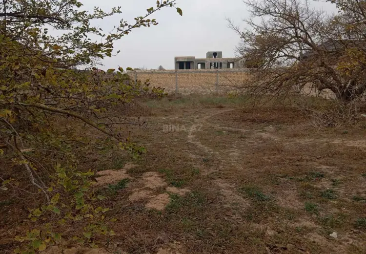 11.5 sot Torpaq Satılır, Bilgəh qəs., Sabunçu, Bakı
