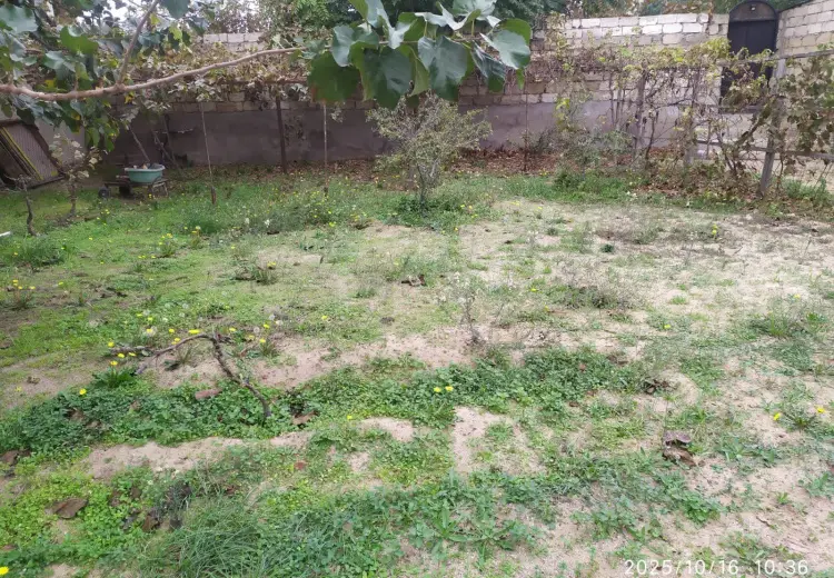 0 m² Obyekt / Ofis , Şüvəlan, Xəzər, Bakı