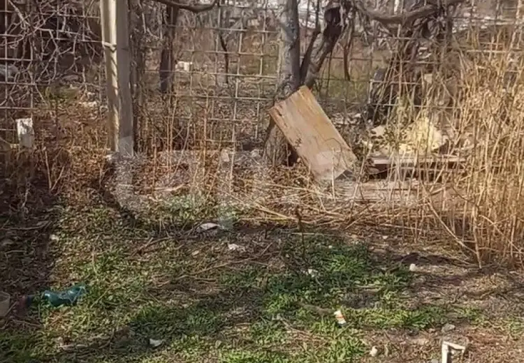 3 otaqlı mənzil , Mingəçevir