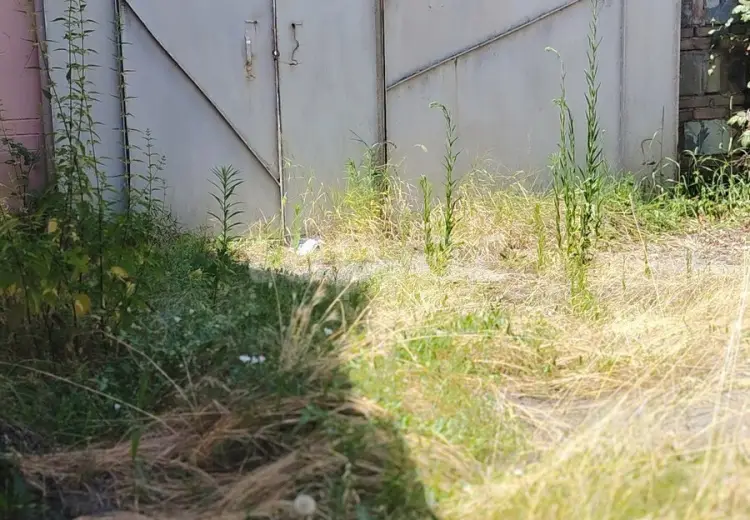 2 otaqlı mənzil , Şəki