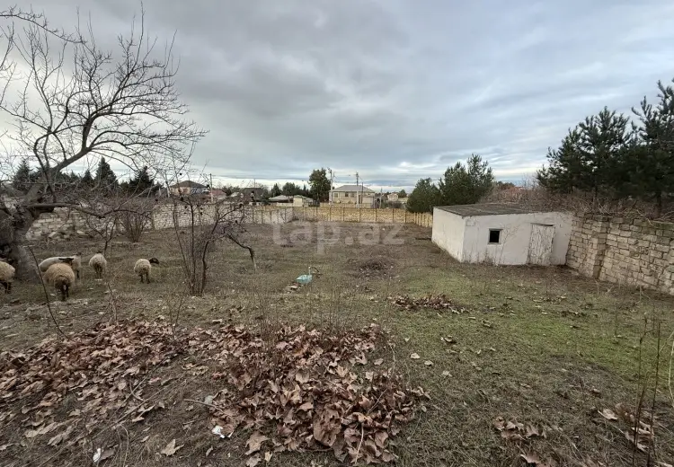 0 m² Obyekt / Ofis , Novxanı, Abşeron