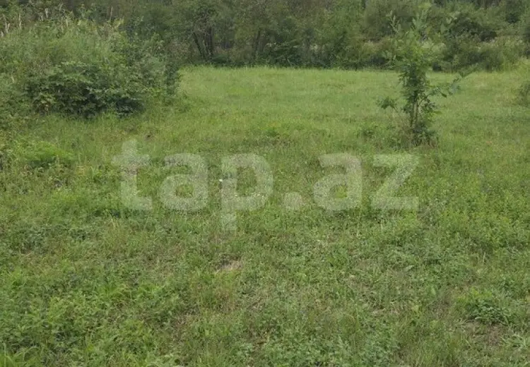 0 m² Obyekt / Ofis , Qusar