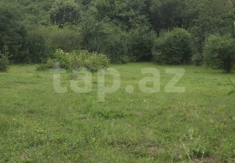 0 m² Obyekt / Ofis , Qusar
