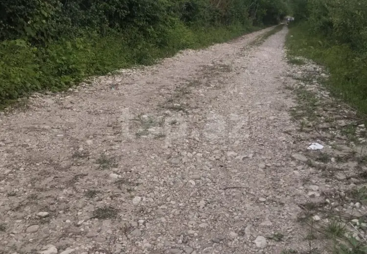 0 m² Obyekt / Ofis , Qusar