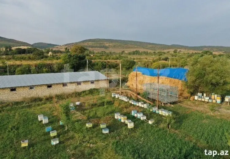 0 m² Obyekt / Ofis , Quba