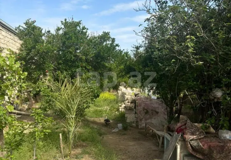 0 m² Obyekt / Ofis , Suraxanı, Bakı