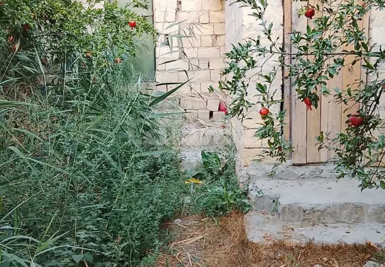 0 m² Obyekt / Ofis , Kürdəmir