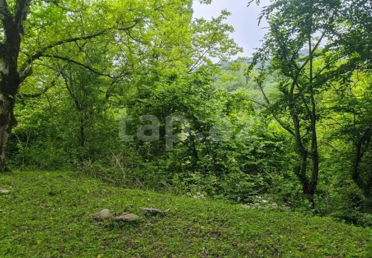 0 m² Obyekt / Ofis , İsmayıllı