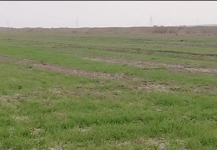 1000 sot Torpaq Satılır, Ələt qəs., Qaradağ, Bakı