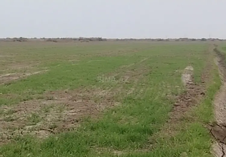1000 sot Torpaq Satılır, Ələt qəs., Qaradağ, Bakı