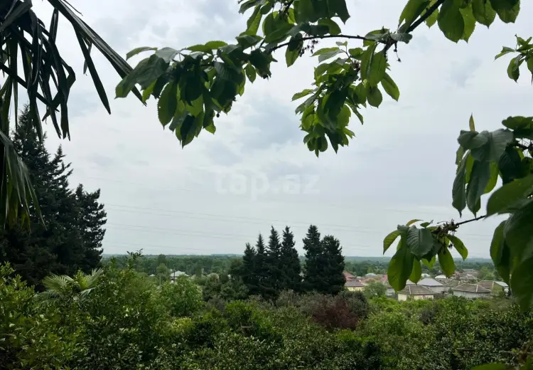7 otaqlı mənzil , Lənkəran