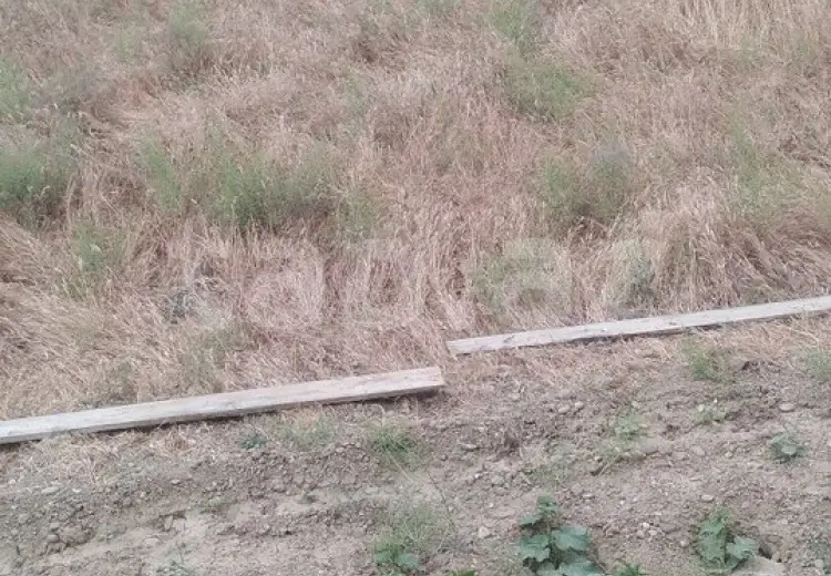 0 m² Obyekt / Ofis , Novxanı, Abşeron