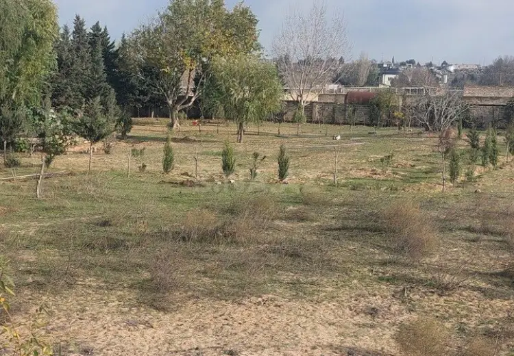 6 sot Torpaq Satılır, Nardaran qəs., Sabunçu, Bakı