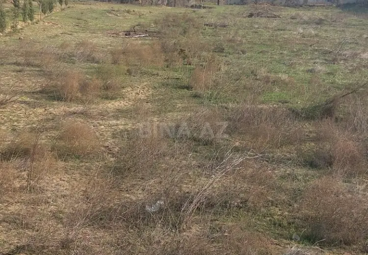 6 sot Torpaq Satılır, Nardaran qəs., Sabunçu, Bakı