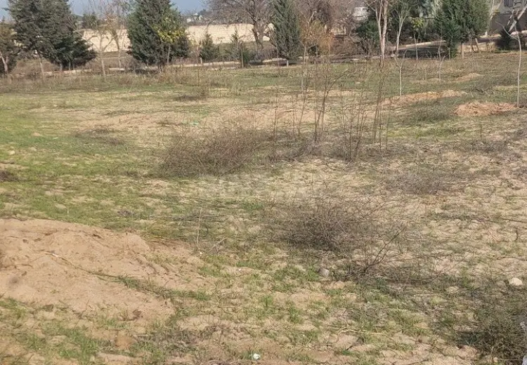 6 sot Torpaq Satılır, Nardaran qəs., Sabunçu, Bakı
