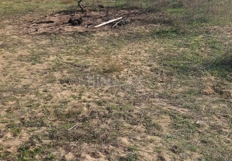 6 sot Torpaq Satılır, Nardaran qəs., Sabunçu, Bakı