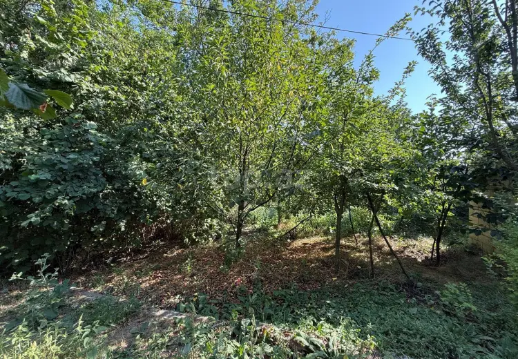3 otaqlı mənzil , İsmayıllı