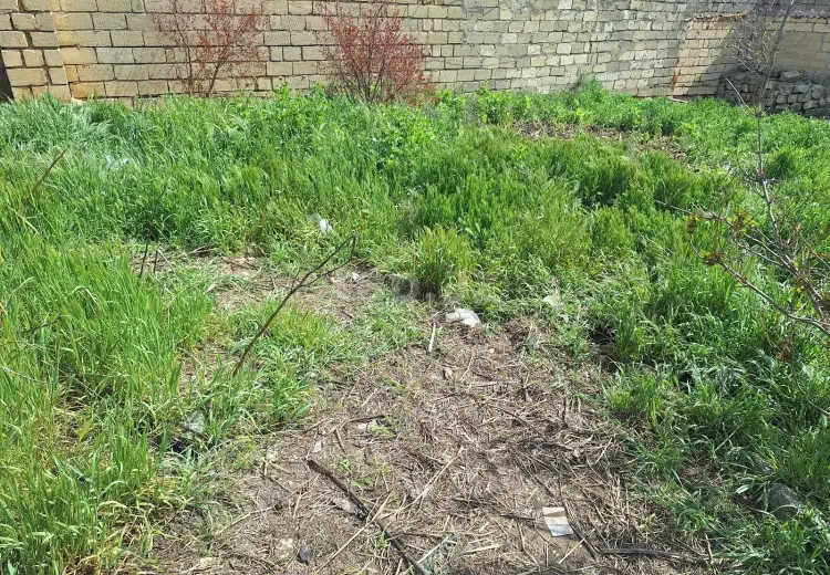 0 m² Obyekt / Ofis , Badamdar qəs., Səbail, Bakı