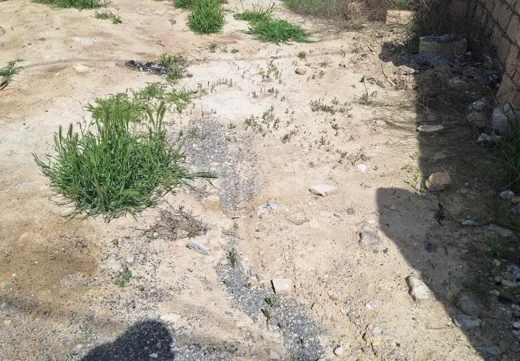 0 m² Obyekt / Ofis , Badamdar qəs., Səbail, Bakı