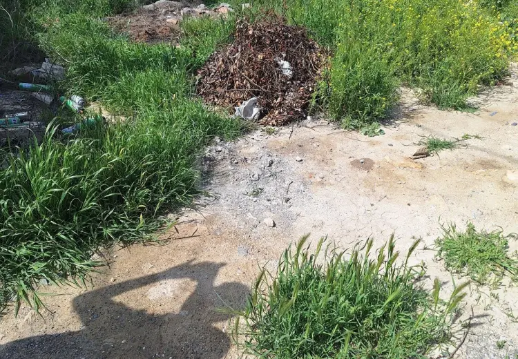 0 m² Obyekt / Ofis , Badamdar qəs., Səbail, Bakı