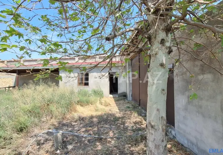 15 sot Torpaq Satılır, Masazır, Abşeron