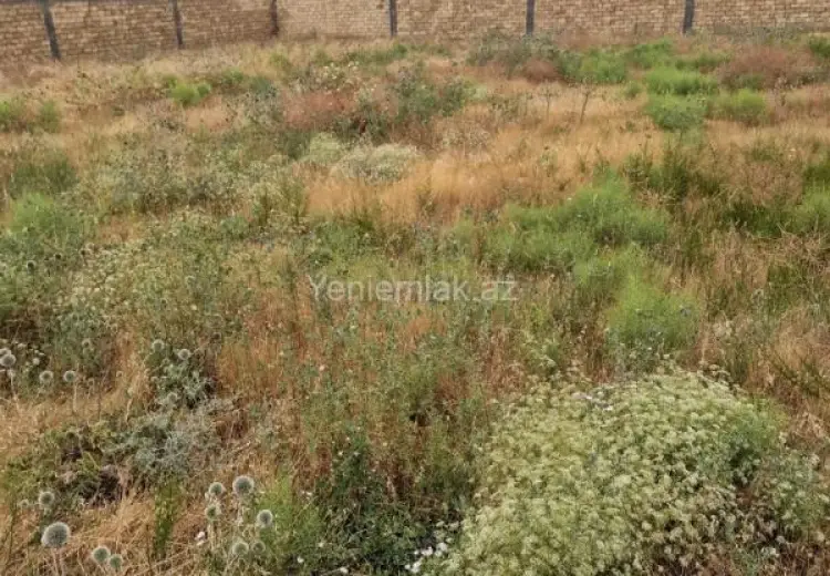 4 sot Torpaq Satılır, Masazır, Abşeron