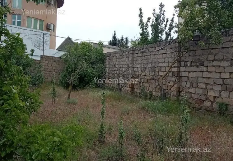 4 sot Torpaq Satılır, Novxanı, Abşeron